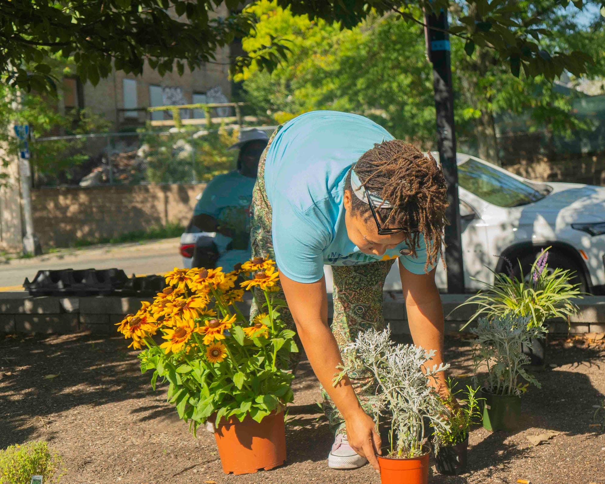 A volunteer in a Newark Bloom Team t-shirt bends to set a potted plant into a fresh sidewalk bed beside pots of yellow flowers, a parked car behind her.